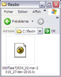 Copie du fichier de licence