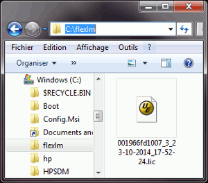 License file in C:\\flexlm