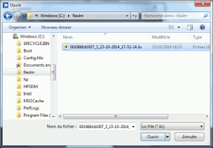License file selection