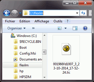 Fichier de licence dans C:\flexlm